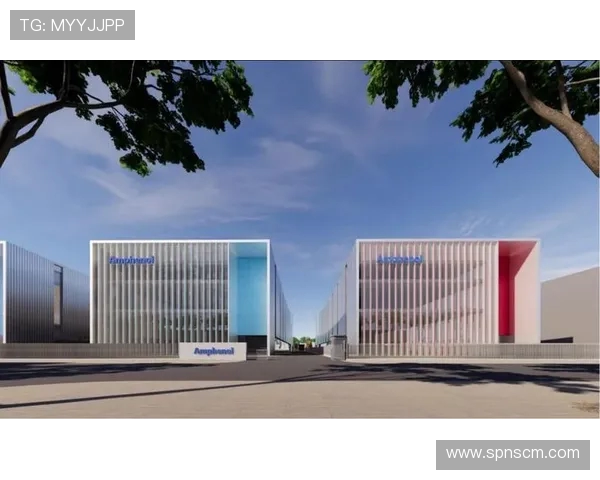 足球明星崛起之路 从草根到巅峰的励志故事