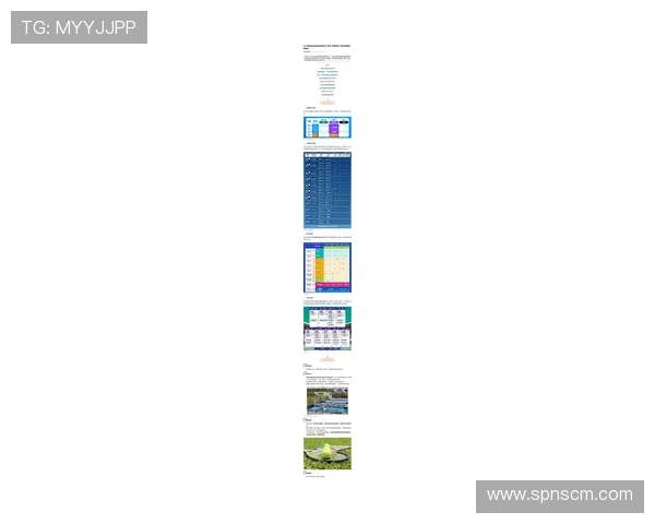 上海网球队在联赛中的节奏表现分析与未来展望