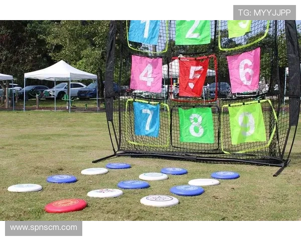 南京飞盘队的阵地战体系与飞盘战术的深度解析与应用探讨