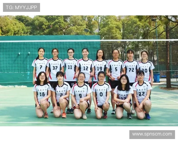 武汉排球队运营策略深度分析与发展前景探讨